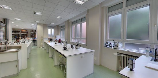 lab