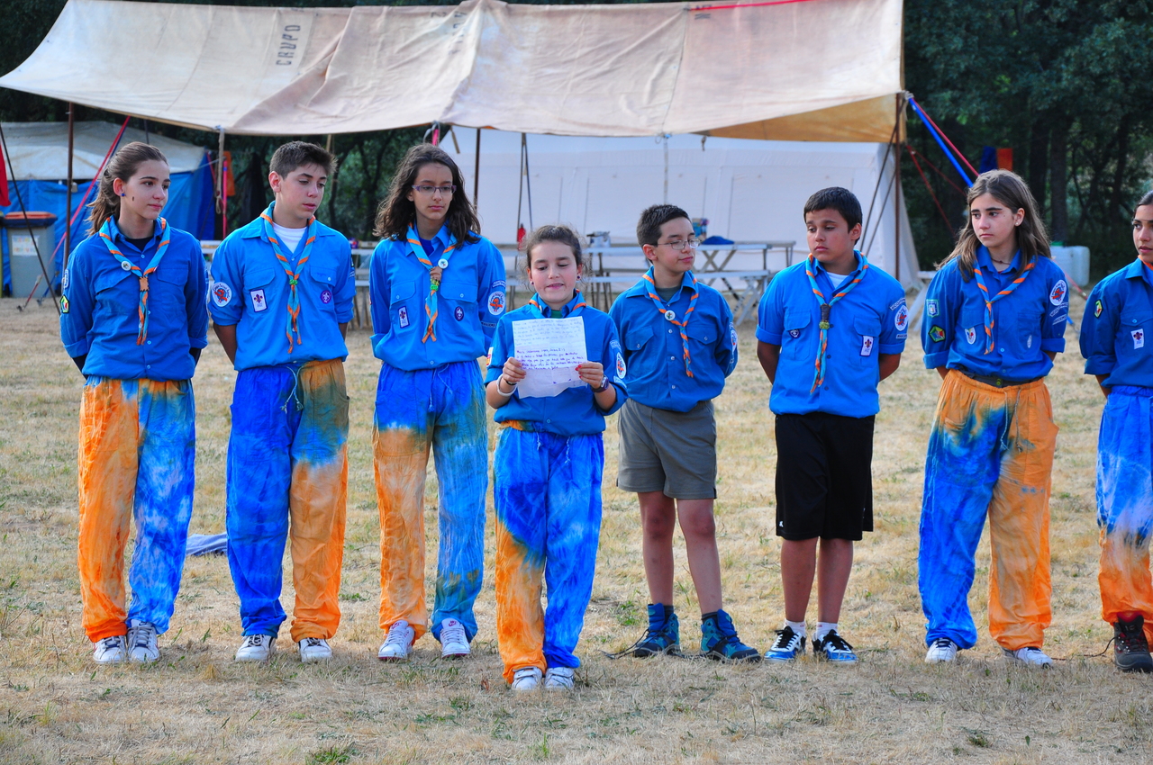 scout2013-01